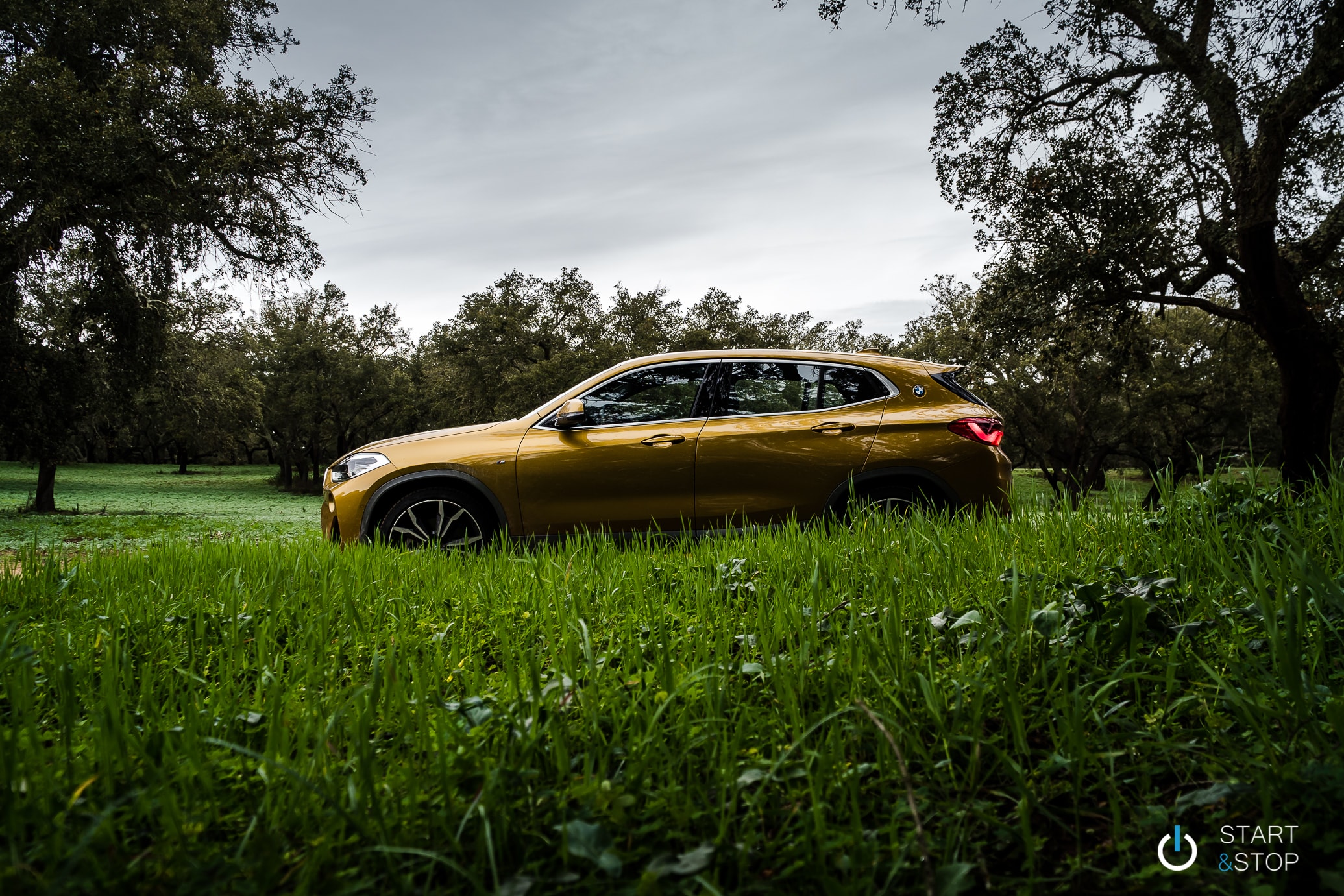 BMW X2