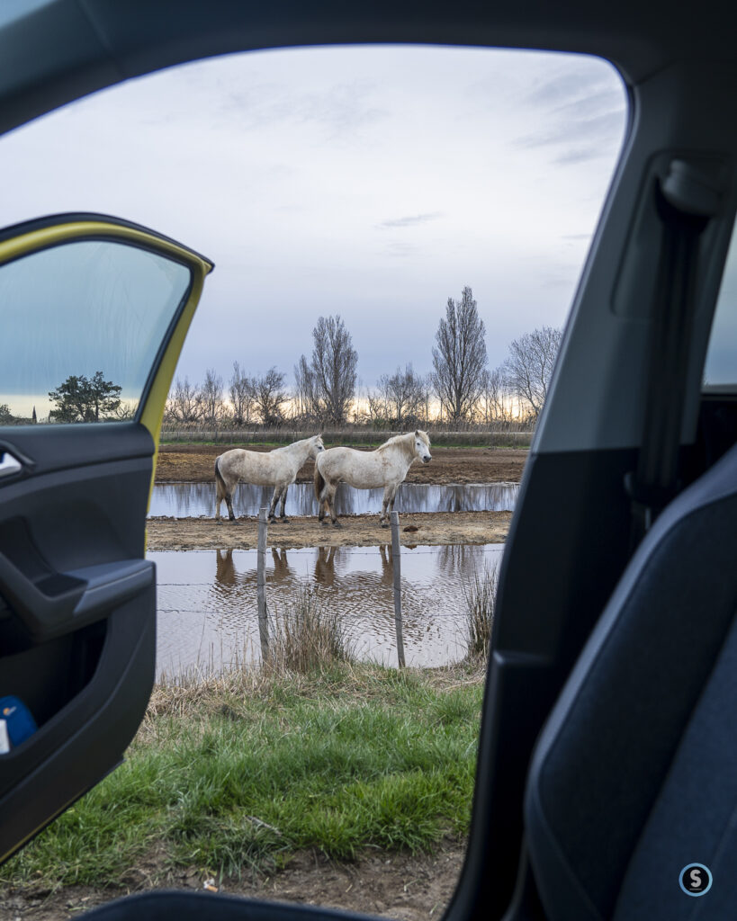 VW T-Cross chevaux