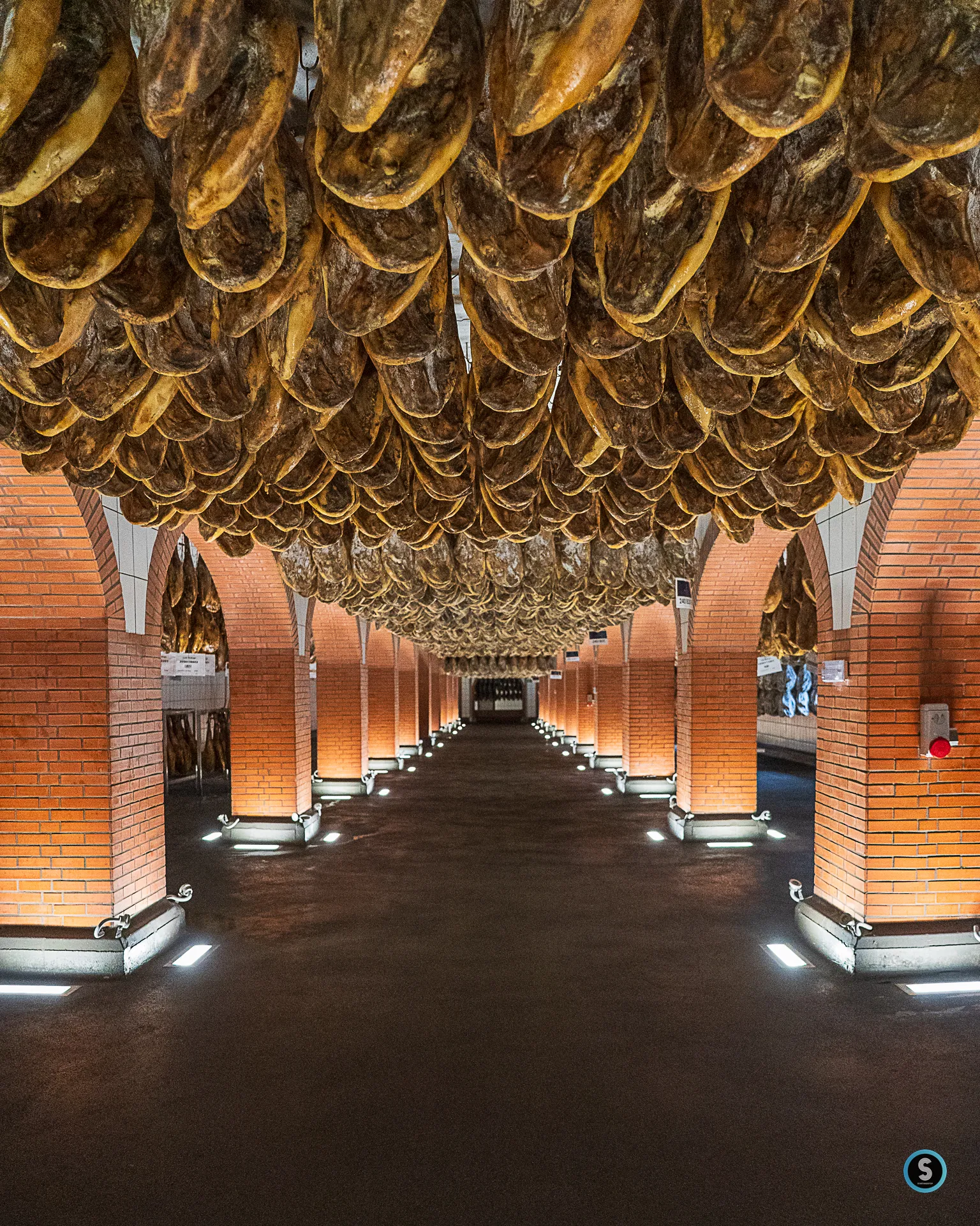 Misée du jambon
